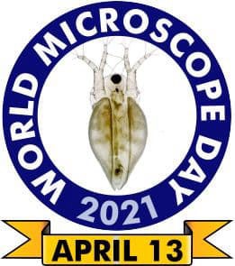 Logo Welttag des Mikroskops